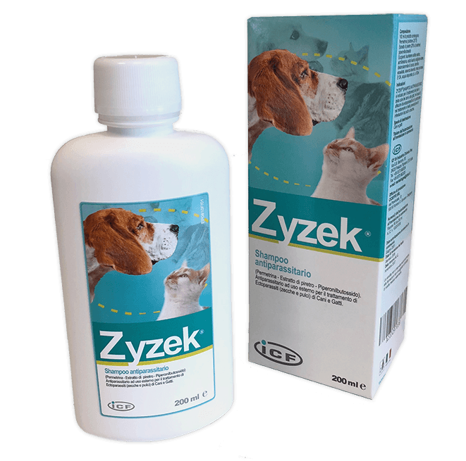 Zyzek Shampoo Antiforfora per Cuoio Capelluto Sensibile 200ml