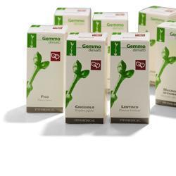 Ribes Nero Macerato Glicerinato 200ml