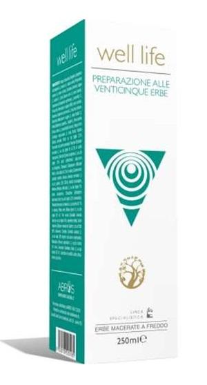 Abros Well Life 25erbe Abros 250ml