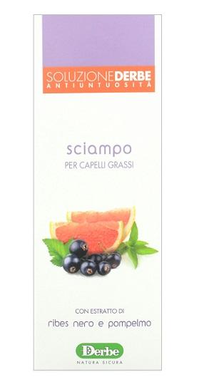 Derbe Shampoo Antigrasso per Capelli con Tendenza Untuosa
