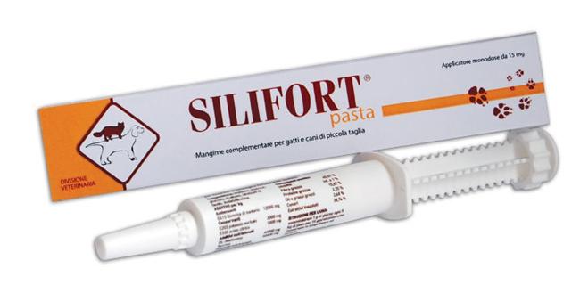 Ddf Silifort Pasta Disintossicante Cani e Gatti Siringa da 30 g