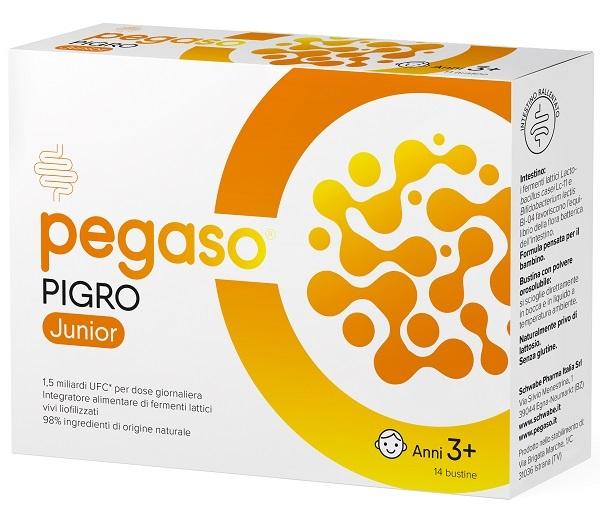 Pegaso Axidophilus J 14bust