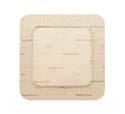 MEPILEX BORDER FLEX 10X10 5PZ