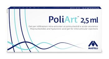 Poliart Siringa Intra-Articolare 20mg/ml
