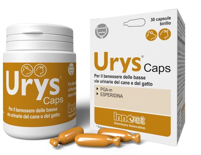 Innovet Urys Caps Integratore Vie Urinarie Cane e Gatto 30 Capsule Birillo