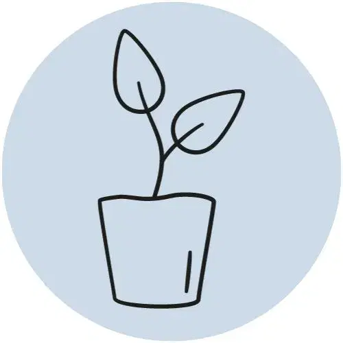 Macerati Glicerici
