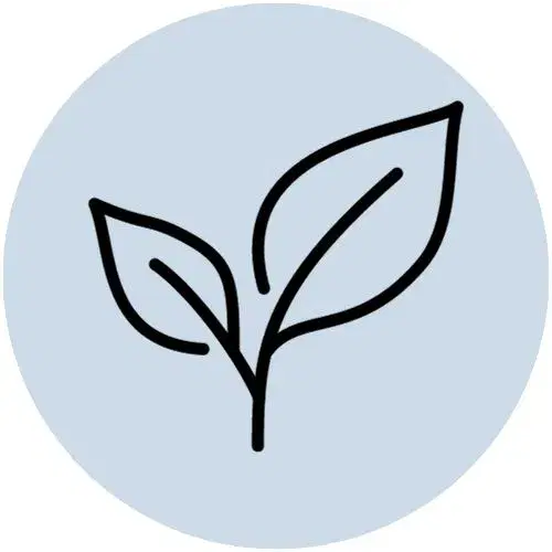 Fitoembrioestratti