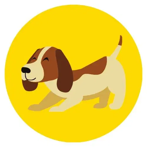 Animali