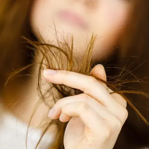 Capelli Secchi