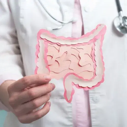 Area Gastrointestinale