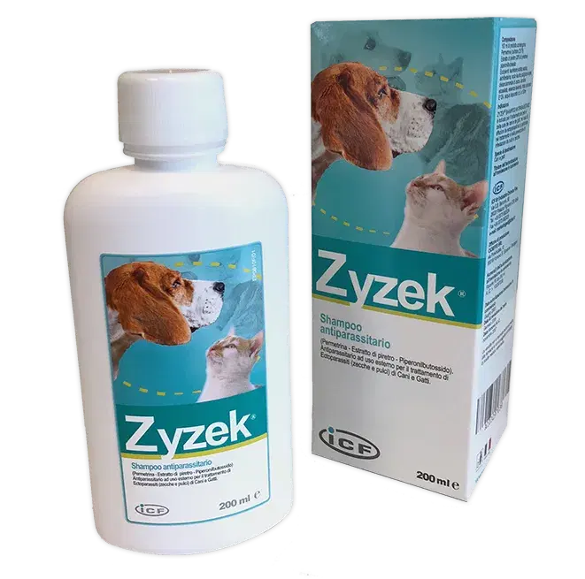 Zyzek Shampoo Antiforfora per Cuoio Capelluto Sensibile 200ml