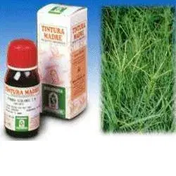 Specchiasol Gramigna 37 Tintura Madre 50 ml