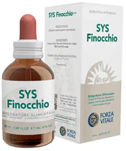 351310.jpg