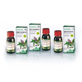 Specchiasol Gemmosol 46 Tiglio Argen 50ml