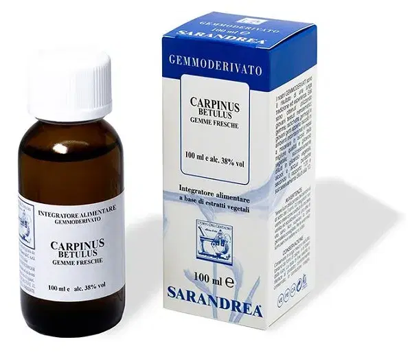 CARPINUS BETULUS 100ML MG