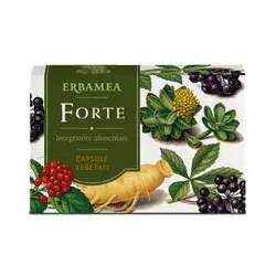 FORTE 24CPS