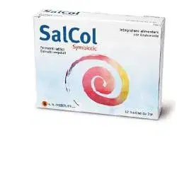 Salcol Integratore Fermenti Lattici 12 Bustine