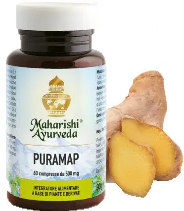 Puramap Integratore Articolare 60 Capsule