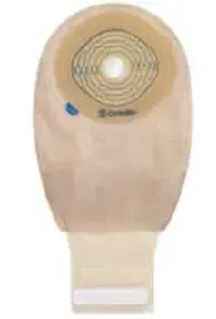 175884.jpg