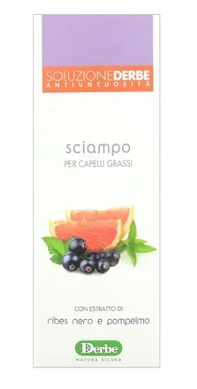 Derbe Shampoo Antigrasso per Capelli con Tendenza Untuosa