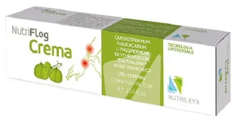 Nutriflog Crema Liposomiale Antinfiammatoria e Antipruriginosa per Irritazioni Cutanee 75 g