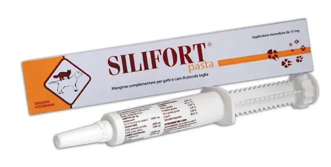 Ddf Silifort Pasta Disintossicante Cani e Gatti Siringa da 30 g