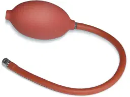 337499.jpg