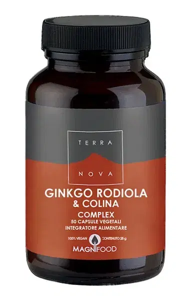TERRANOVA GINKGO/ROD/COL 50CPS