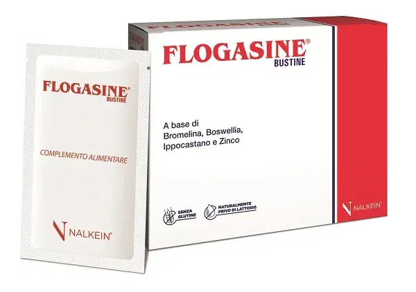 Nalkein Pharma Flogasine 20 Bustine