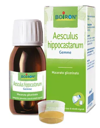 Aesculus Hippocastanum Macerato Glicerico 60ml