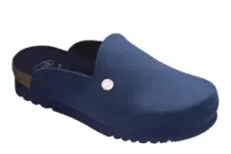 242869.jpg