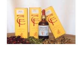 Abete Gemme Macerato Glicerico Per Il Benessere Respiratorio 50ml