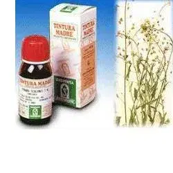 Specchiasol Soluzione Idroalcolica 4 Borsa del Pastore 50 ml