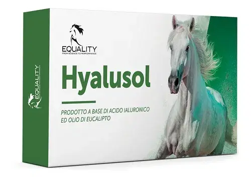 Hyalusol Aerosol Ambientale Per Equini 10 Flaconi Monodose Da 8ml